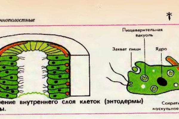 Кракен запрещенные вещества